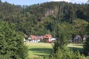 Ferienwohnung am Rain Winden Im Elztal